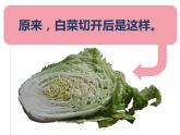 湘美版 三年級美術(shù)上冊 第6課 新發(fā)現(xiàn) 課件（36張PPT）