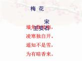 湘美版 四年級美術上冊 第6課 花兒朵朵 課件（14張PPT）