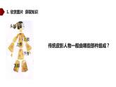 湘美版 五年級(jí)美術(shù)上冊 第11課 皮影 課件（17張PPT）