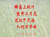 人教版 美术二年级上册 第16课 风来了 课件