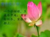 人教版 美術一年級上冊 第11課 花兒寄深情 課件