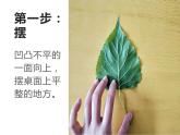人教版 美術(shù)一年級上冊  第6課 美麗的印紋 課件