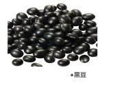 湘美版 二年級(jí)美術(shù)上冊(cè) 10.小蝌蚪 課件