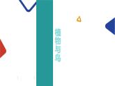 美麗的植物和動物課件PPT