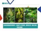 美麗的植物和動物課件PPT