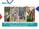 拒絕動物表演課件PPT