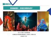 可愛的海馬課件PPT
