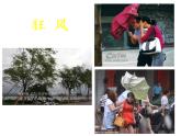 湘美版四年級(jí)美術(shù)上冊(cè) 第10課 乘風(fēng)破浪課件PPT