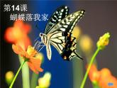 湘美版四年級(jí)美術(shù)上冊 第14課 蝴蝶落我家課件PPT