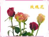 人教版小學美術一年級上冊《第11課花兒寄深情》PPT課件 (1)