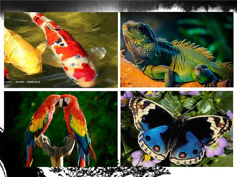 第7课 无笔画（3）（课件）美术五年级上册-人教版04