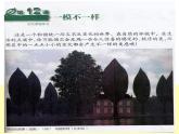 湘美版四年級(jí)美術(shù)上冊(cè) 第12課 一模不一樣課件PPT