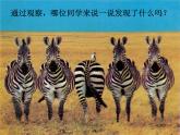 湘美版四年級(jí)美術(shù)上冊(cè) 第12課 一模不一樣課件PPT