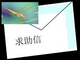 第5課 草叢中（10）（課件）美術(shù)四年級(jí)上冊-湘美版