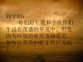 第5課 草叢中（10）（課件）美術(shù)四年級(jí)上冊-湘美版