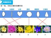 第6課 花兒朵朵（10）（課件）美術四年級上冊-湘美版