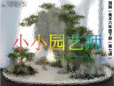 第7课 小小园艺师（11）（课件）美术六年级上册-湘美版