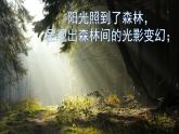 第2課 光影變幻（13）（課件）美術(shù)六年級(jí)上冊(cè)-湘美版