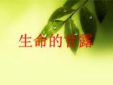 第9課 生命的甘露（13）（課件）美術(shù)六年級(jí)上冊(cè)-湘美版
