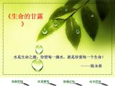 第9課 生命的甘露（13）（課件）美術(shù)六年級(jí)上冊(cè)-湘美版