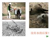 第9課 生命的甘露（13）（課件）美術(shù)六年級(jí)上冊(cè)-湘美版