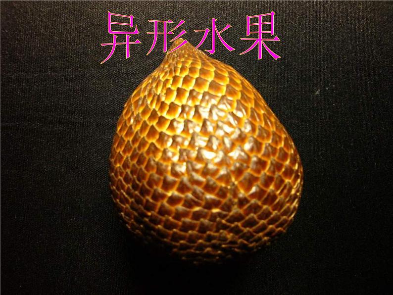 湘教小学美术二上《5瓜果飘香 》PPT课件 (3)03