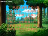 湘教小學(xué)美術(shù)二上《6高個子和大胖子 》PPT課件