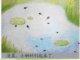 湘教小學(xué)美術(shù)二上《10小蝌蚪 》PPT課件 (1)