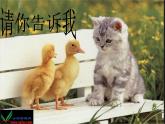 湘教小學(xué)美術(shù)二上《18請(qǐng)你告訴我 》PPT課件 (2)