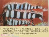 湘教小學(xué)美術(shù)二上《18請(qǐng)你告訴我 》PPT課件 (1)