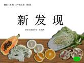 湘教小學美術(shù)三上《第6課新發(fā)現(xiàn)》PPT課件