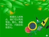湘教小學美術四上《第6課花兒朵朵》PPT課件