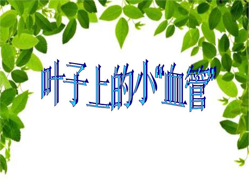 人教小学美术二下《第8课叶子上的小“血管”》PPT课件 (1)第1页