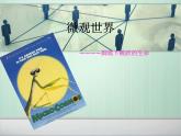 人教小學(xué)美術(shù)五下《第14課微觀世界》PPT課件 (2)
