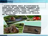 人教小學(xué)美術(shù)五下《第14課微觀世界》PPT課件 (2)