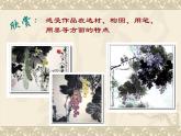 人教小學(xué)美術(shù)五下《第9課寫意蔬果》PPT課件
