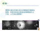 人教小學(xué)美術(shù)五下《第14課微觀世界》PPT課件