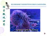 人教小學(xué)美術(shù)五下《第14課微觀世界》PPT課件