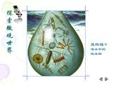 人教小學(xué)美術(shù)五下《第14課微觀世界》PPT課件