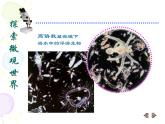 人教小學(xué)美術(shù)五下《第14課微觀世界》PPT課件