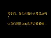 人美小學(xué)美術(shù)二上《第8課 擺花樣》PPT課件 (3)
