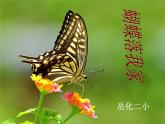 湘教小學(xué)美術(shù)四上《第14課蝴蝶落我家》PPT課件
