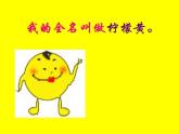 湘教小學(xué)美術(shù)二上《2三個好伙伴 》PPT課件