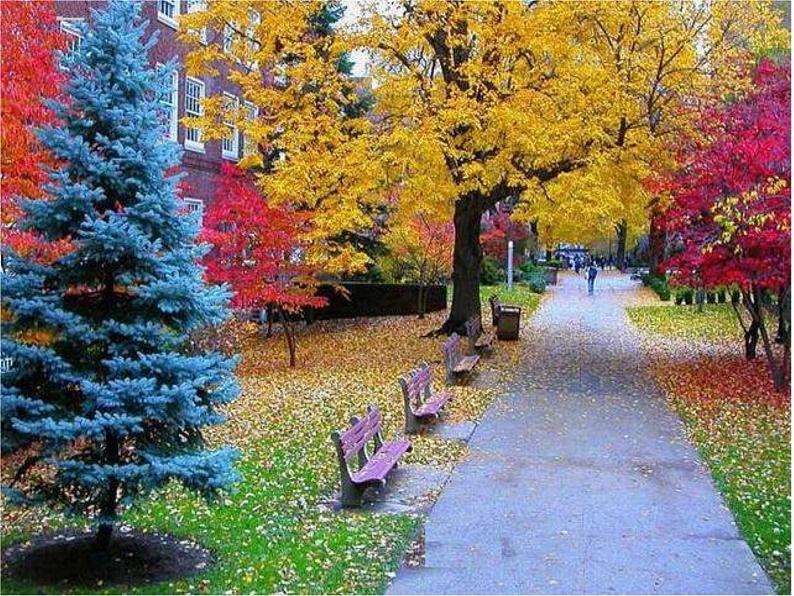 湘教小学美术二上《2三个好伙伴 》PPT课件01