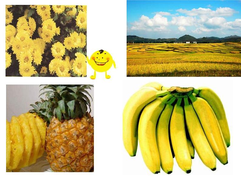 湘教小学美术二上《2三个好伙伴 》PPT课件06