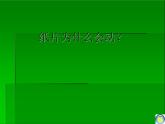 湘教小學(xué)美術(shù)一上《13請跟我來 》PPT課件