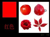 小学美术3.涂涂画画ppt课件
