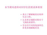 美術(shù)二年級(jí)上冊(cè)課件-9.蜻蜓飛飛1-人教版