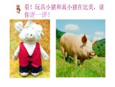美術(shù)二年級(jí)上冊(cè)課件-20.豐富多彩的玩具1-人教版