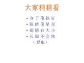 美術(shù)二年級上冊課件-9.蜻蜓飛飛2-人教版